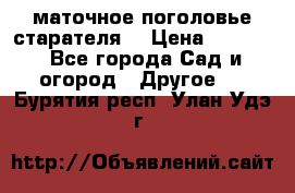 маточное поголовье старателя  › Цена ­ 3 700 - Все города Сад и огород » Другое   . Бурятия респ.,Улан-Удэ г.